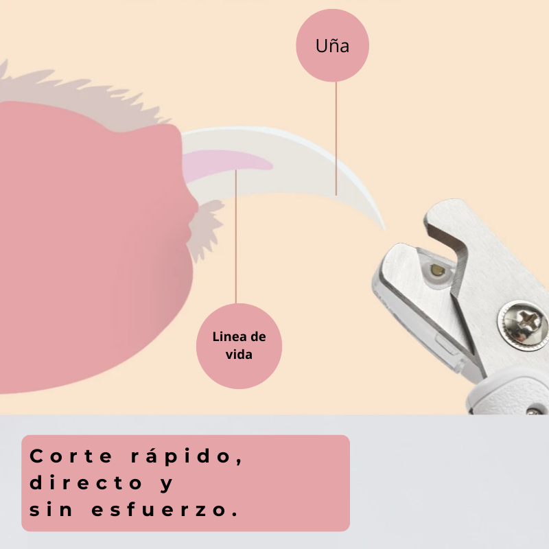 Cortauñas Profesional para Mascotas con Luz LED y Batería